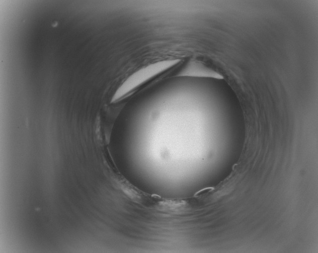 X0000068750480200605121614