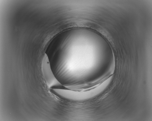 X0000068750481200605121614