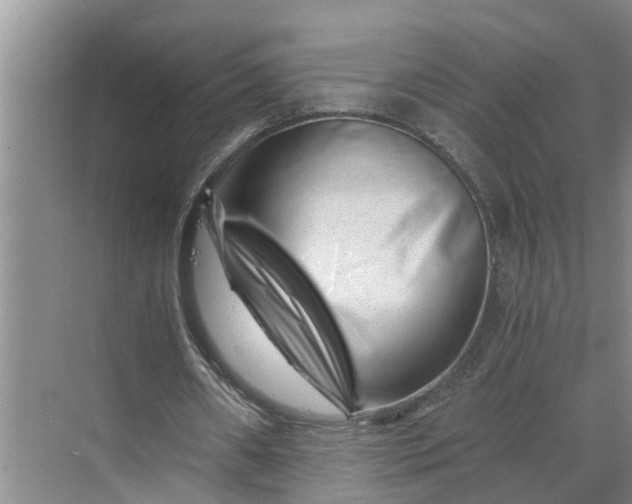 X0000068750482200605121614