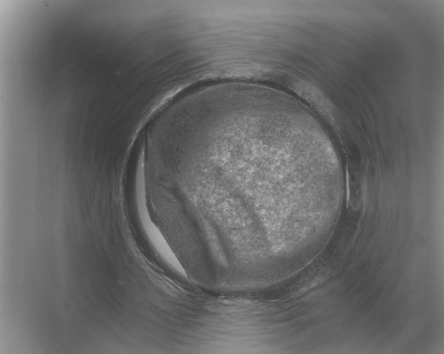 X0000068750483200605121614