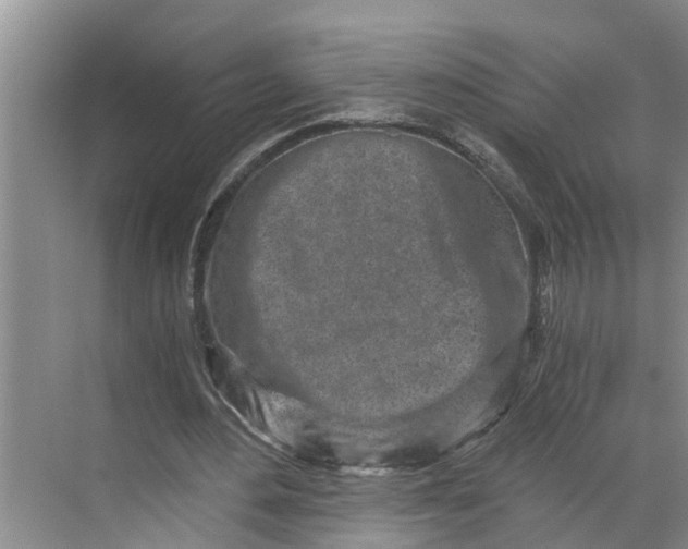 X0000068750484200605121614