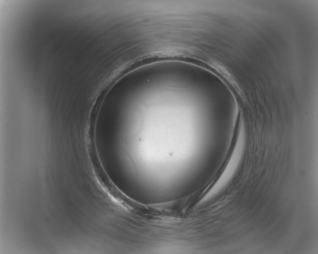 X0000068750485200605121614