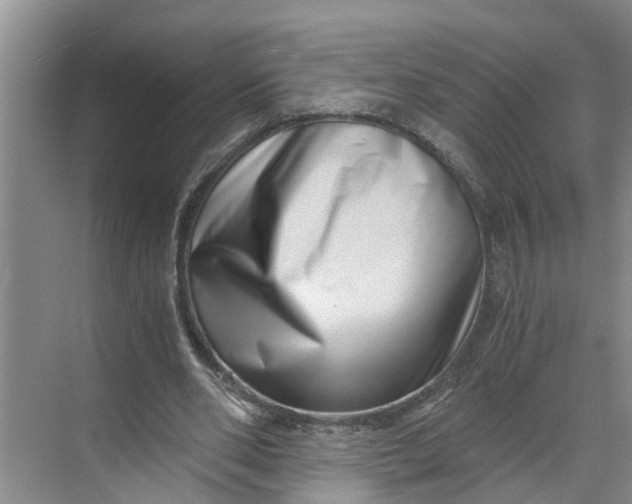 X0000068750486200605121614