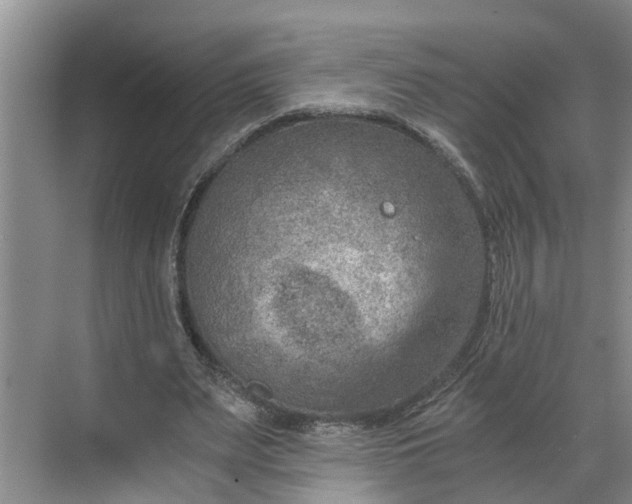 X0000068750487200605121614