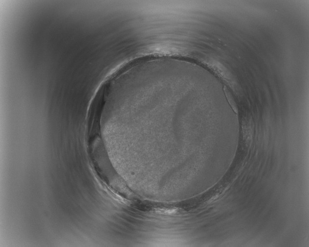 X0000068750488200605121613