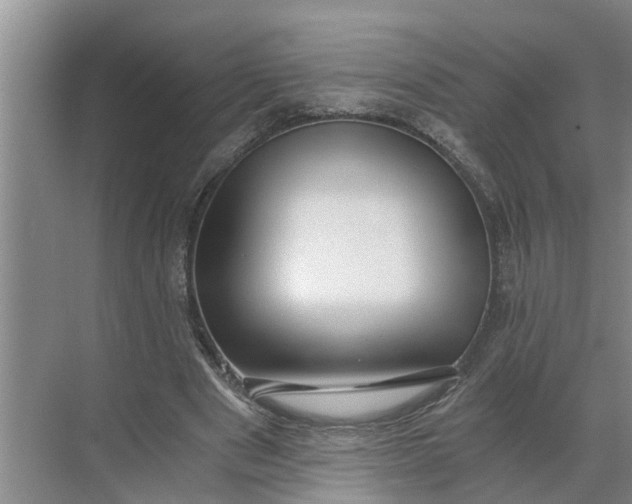 X0000068750489200605121613