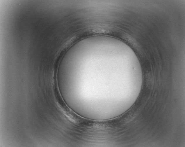 X0000068750490200605121613