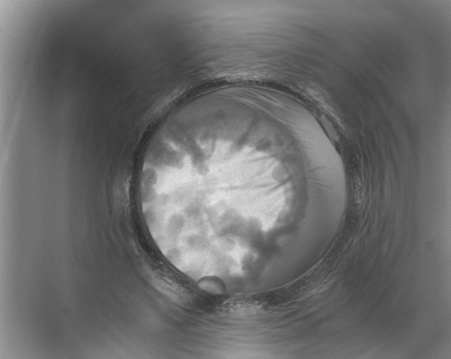 X0000068750491200605121613