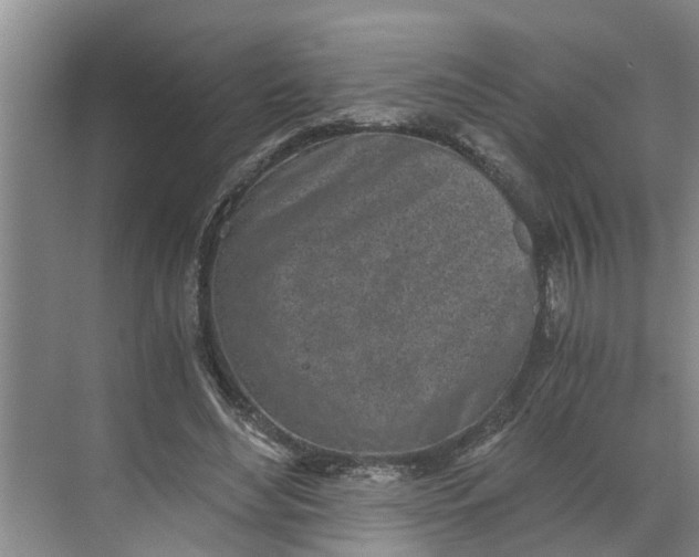 X0000068750492200605121613