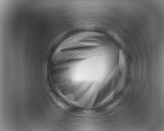 X0000068750493200605121613