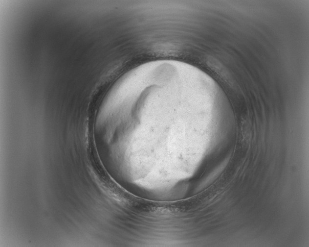 X0000068750494200605121613