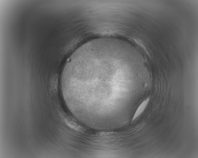 X0000068750495200605121613