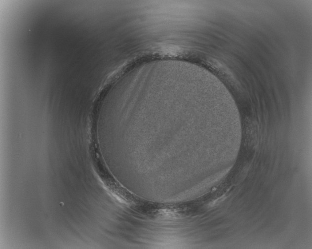 X0000068750496200605121613