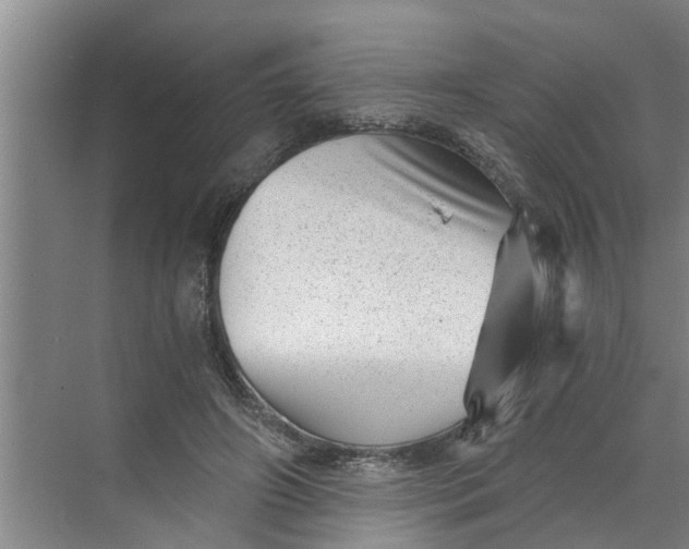 X0000068750498200605121613