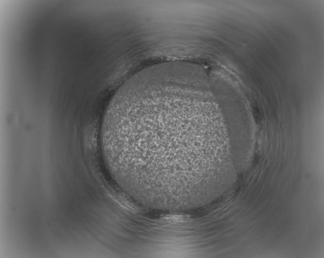 X0000068750499200605121613