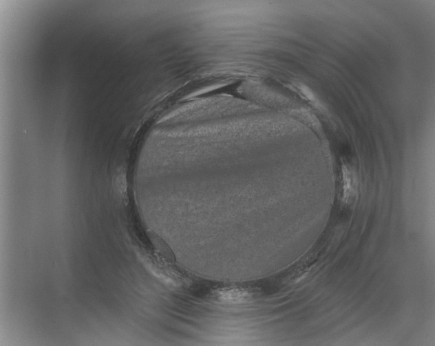 X0000068750500200605121613