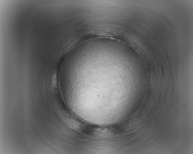 X0000068750502200605121613