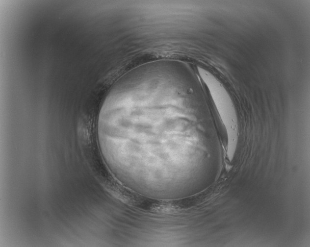 X0000068750503200605121613