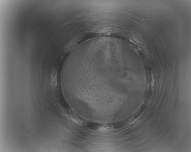 X0000068750504200605121613