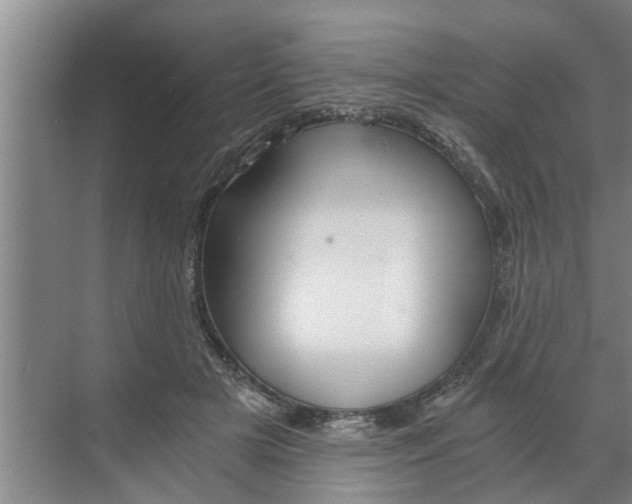 X0000068750505200605121613