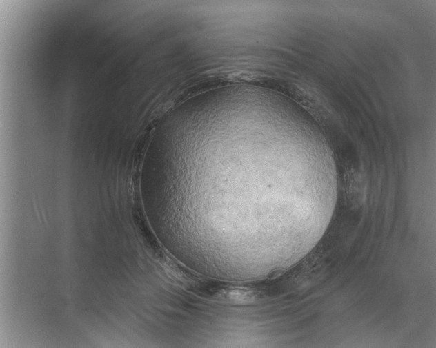 X0000068750506200605121613