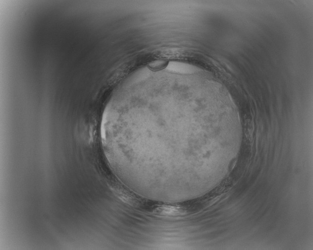 X0000068750507200605121613