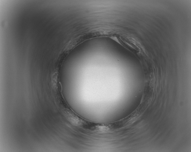 X0000068750509200605121613