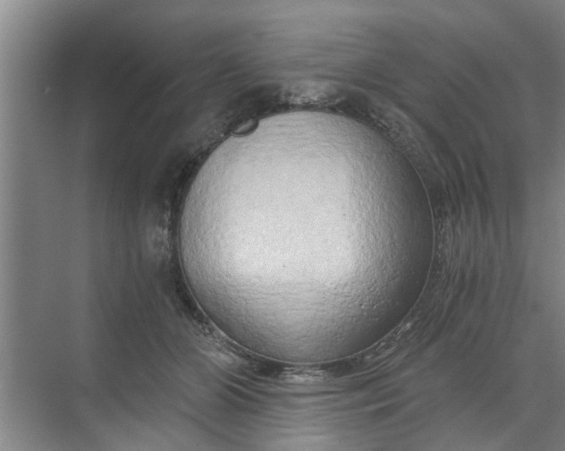 X0000068750510200605121613