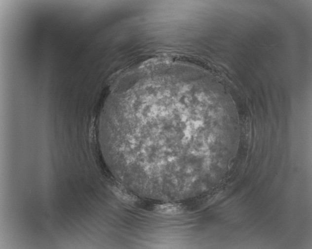 X0000068750511200605121613