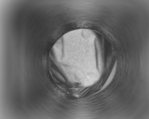 X0000068750513200605121613