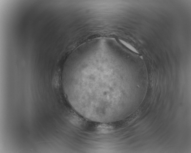 X0000068750515200605121613