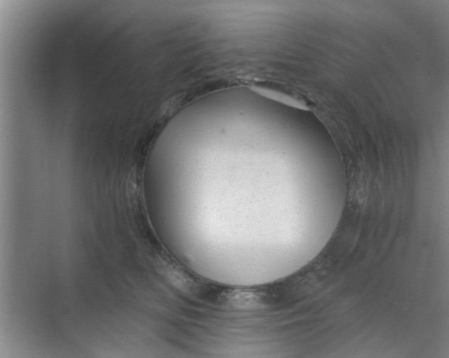 X0000068750518200605121613