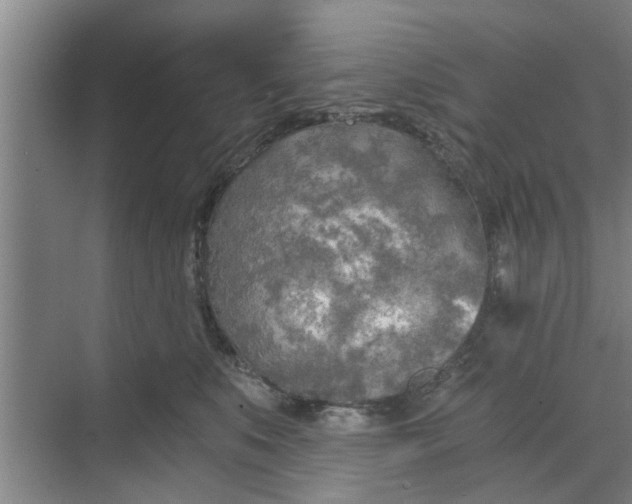 X0000068750519200605121613