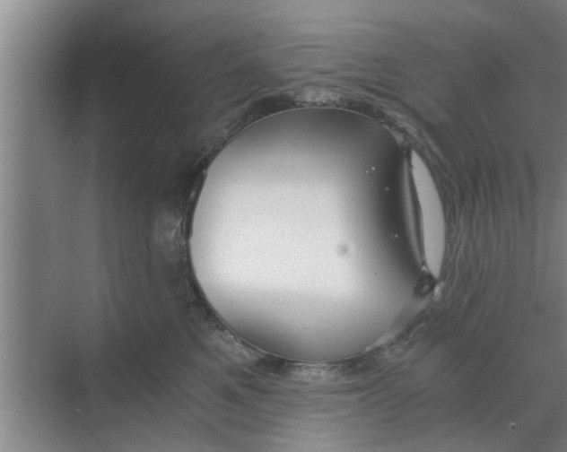 X0000068750521200605121613