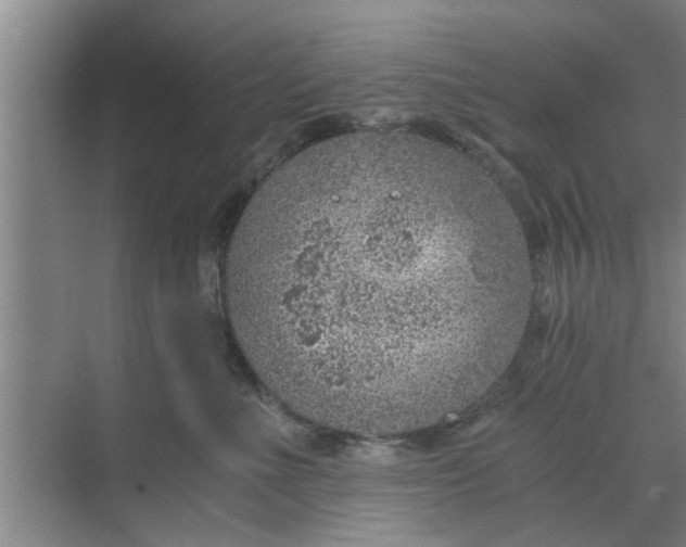 X0000068750523200605121613