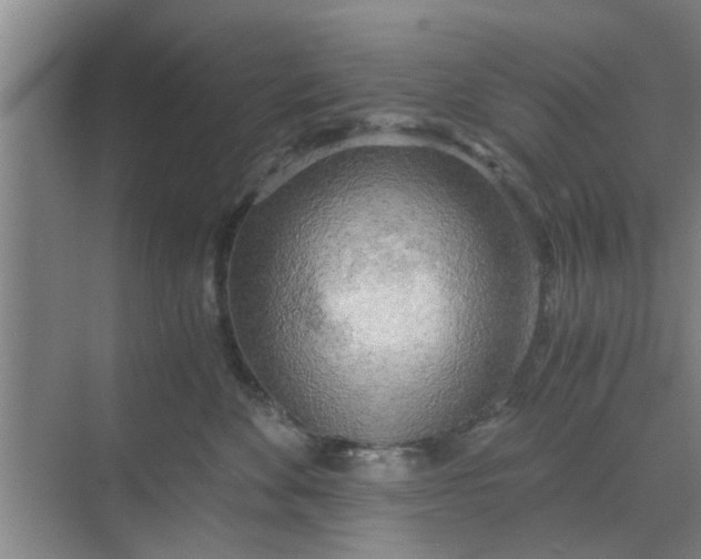 X0000068750524200605121613