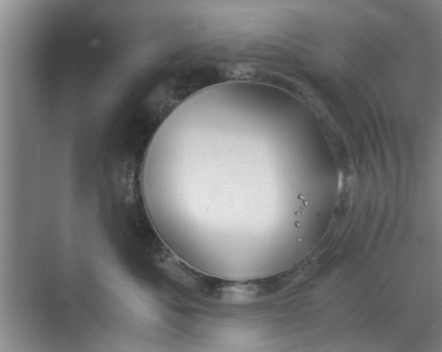 X0000068750525200605121613