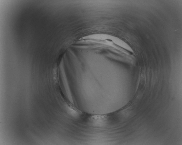 X0000068750526200605121613