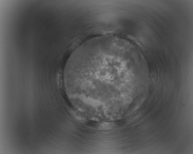 X0000068750527200605121613