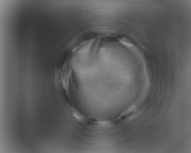 X0000068750528200605121613