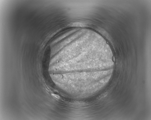 X0000068750529200605121612