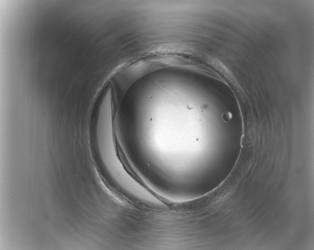 X0000068750530200605121612