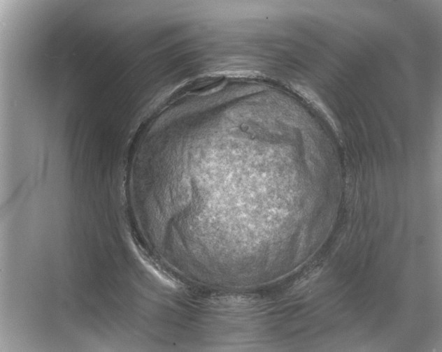 X0000068750533200605121612