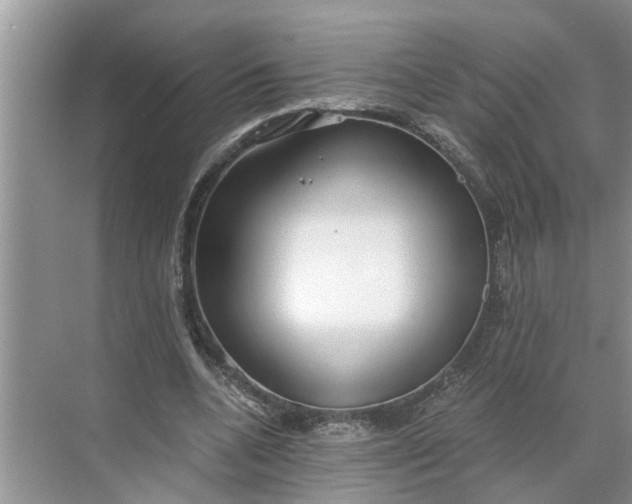 X0000068750536200605121612