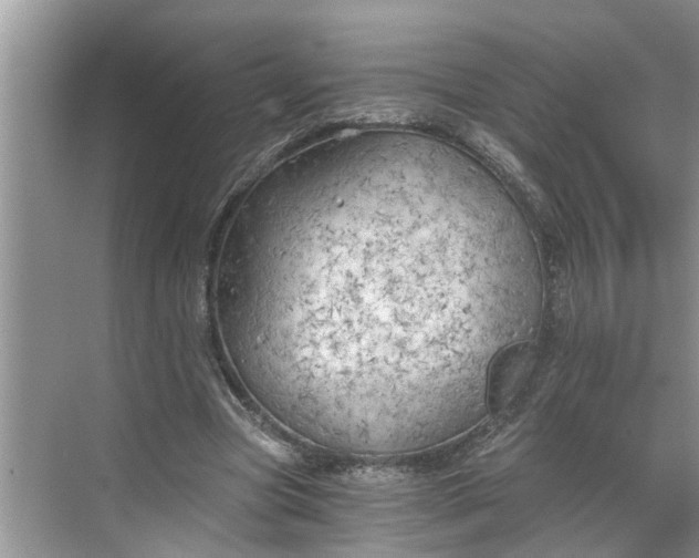 X0000068750537200605121612