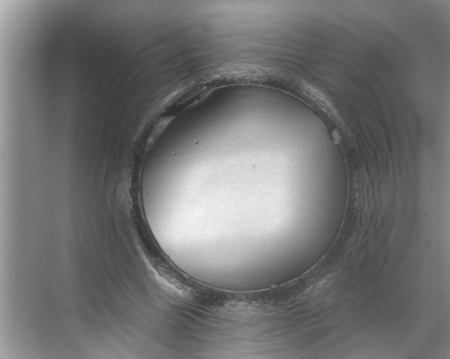 X0000068750538200605121612