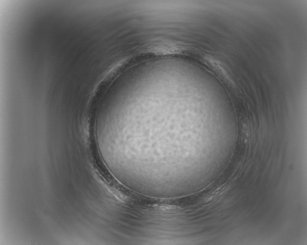 X0000068750539200605121612