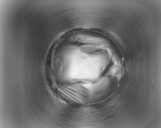 X0000068750540200605121612