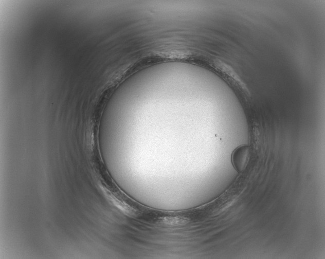 X0000068750541200605121612