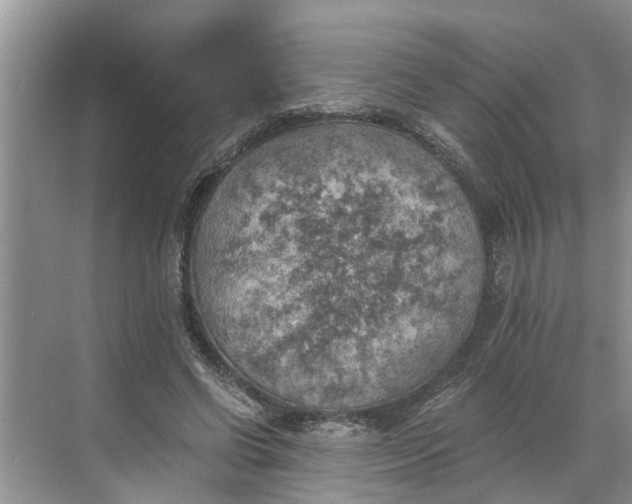 X0000068750542200605121612